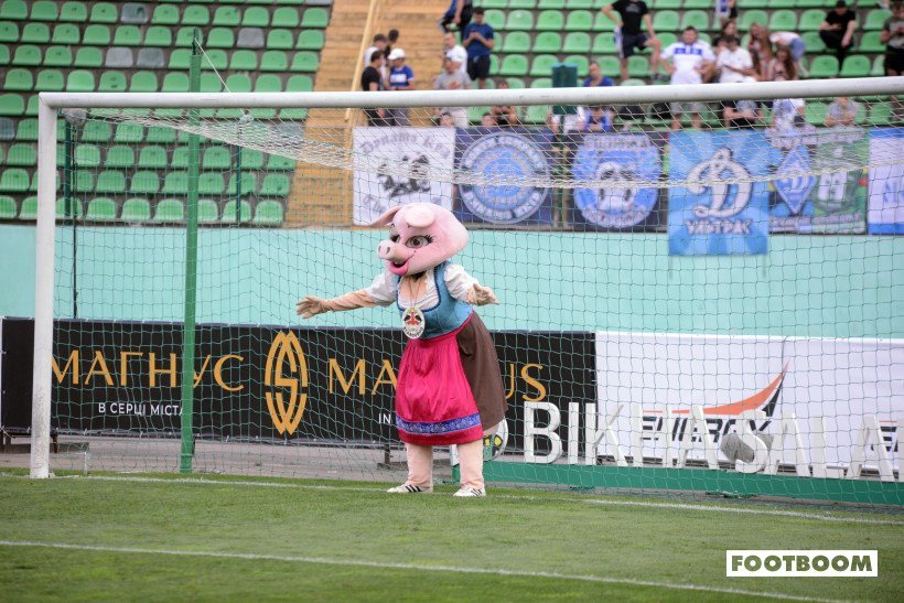 Фото дня: "свинья" стала на ворота в перерыве матча "Карпаты" - "Динамо" - изображение 2