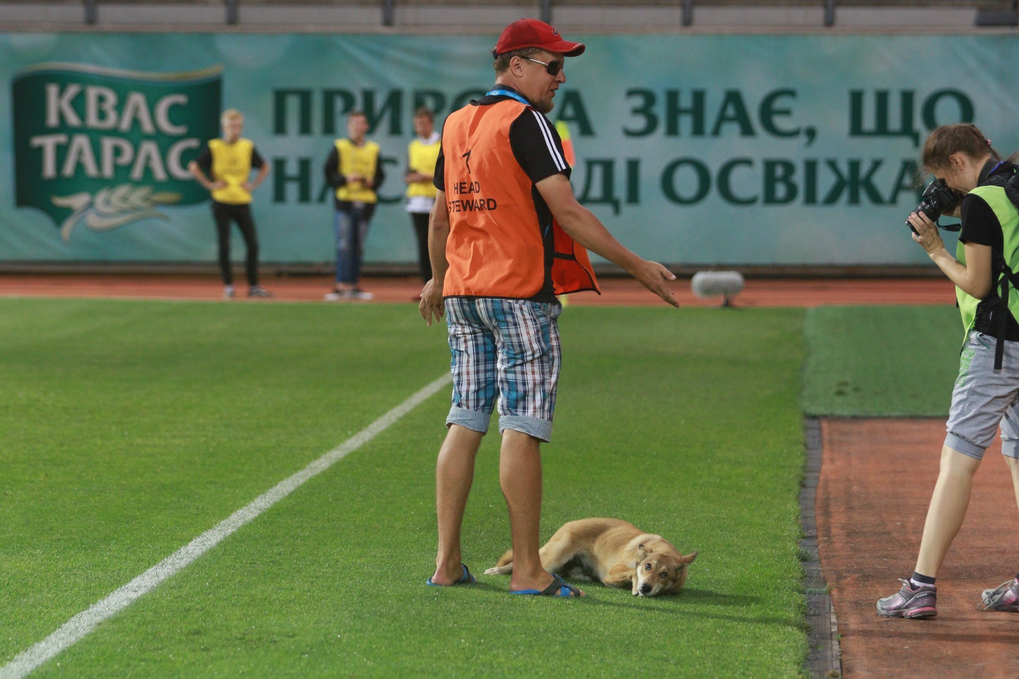 Перед стартом матча Лиги Европы "Заря" - ЦСКА на поле выбежала собака (Фото) - изображение 2