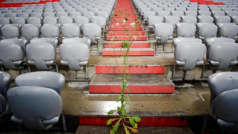 На стадионе "Баварии" за время карантина выросли сорняки (Фото) - изображение 1